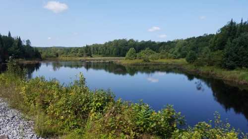 A serene landscape featuring a calm river surrounded by lush greenery and trees under a clear blue sky.