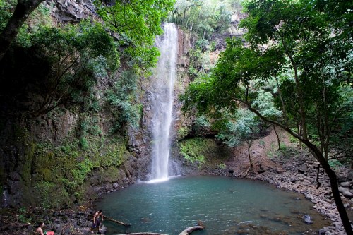 A serene waterfall cascades into a clear pool, surrounded by lush greenery and rocky terrain.