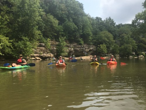 A group of kayakers paddles on a calm river surrounded by lush green trees and rocky cliffs.