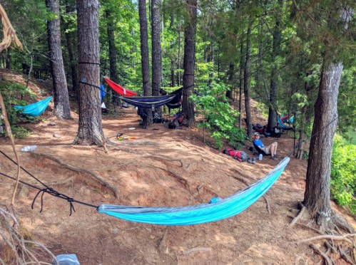 A serene forest scene with several colorful hammocks set up between trees, surrounded by greenery and a few campers.
