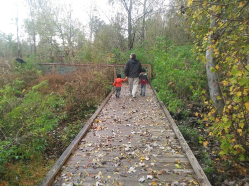 A person walks on a wooden path with two children, surrounded by greenery and fallen leaves in a natural setting.