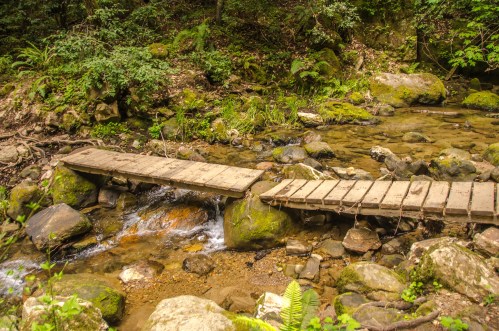 A wooden bridge spans a small stream, surrounded by lush greenery and rocky terrain.
