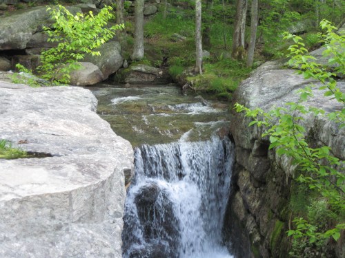 A serene waterfall cascades over rocks, surrounded by lush greenery and trees in a tranquil forest setting.