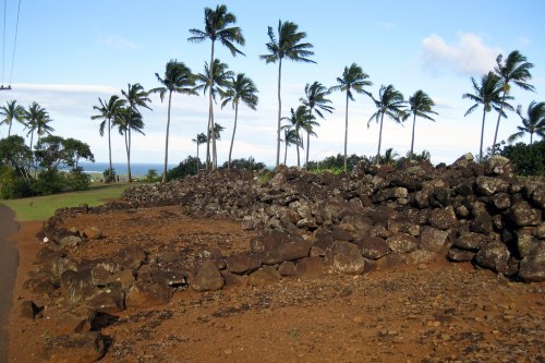 A rocky landscape with a stone wall, palm trees, and a view of the ocean under a clear blue sky.