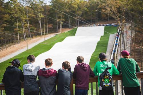 A group of boys watches a ski slope surrounded by trees, enjoying a day outdoors.
