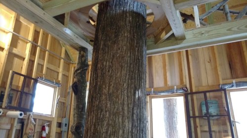 Interior view of a wooden structure featuring a large tree trunk integrated into the design, surrounded by wooden beams.