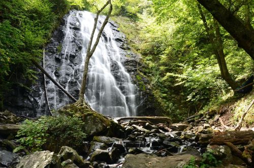 A serene waterfall cascades down rocky cliffs, surrounded by lush green trees and foliage.