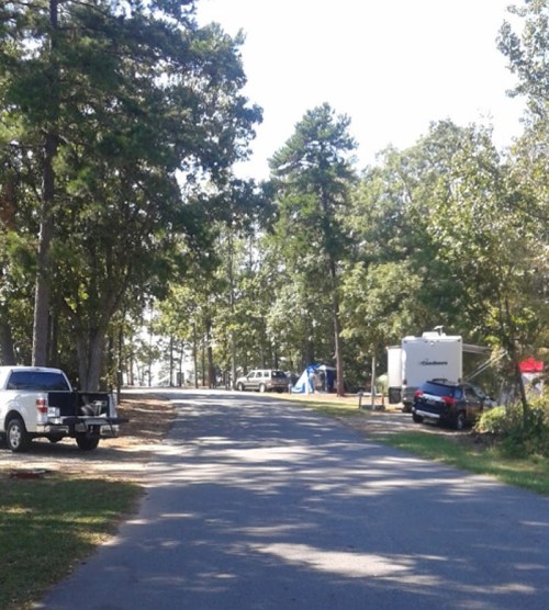 A peaceful campsite with trees lining a gravel road, parked vehicles, and tents in the distance under a clear sky.