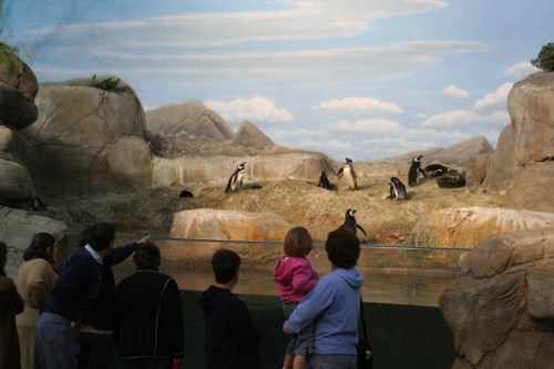 A group of people watches penguins in a zoo exhibit with a scenic backdrop of mountains and clouds.