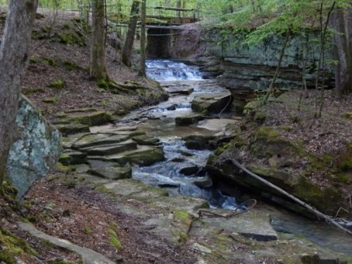 A serene stream flows through a rocky landscape, surrounded by lush greenery and trees.