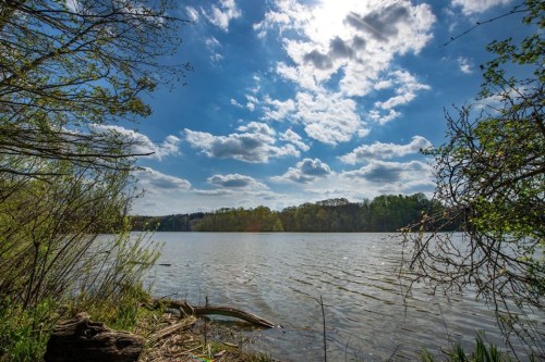 A serene lake surrounded by trees under a bright blue sky with fluffy clouds. Sunlight reflects on the water's surface.