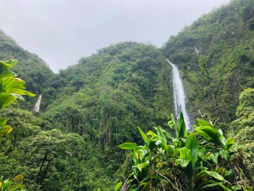 Lush green mountains with two waterfalls cascading down, surrounded by dense foliage under a cloudy sky.