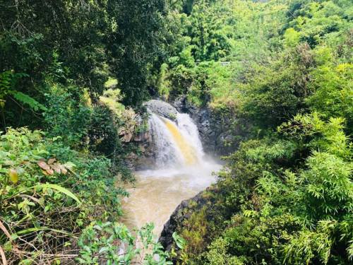 A serene waterfall cascading through lush greenery in a tropical landscape.