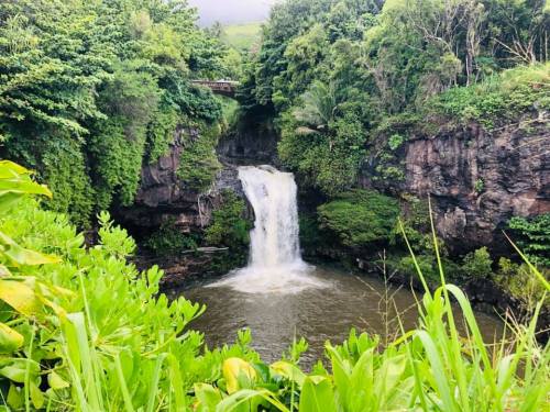 A serene waterfall cascades into a lush, green pool surrounded by dense foliage and rocky cliffs.