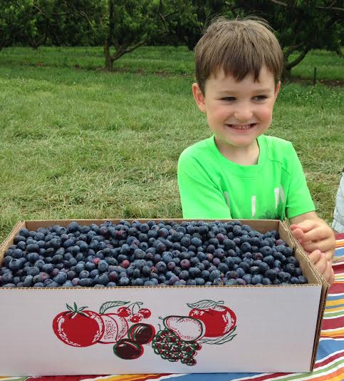 A smiling child in a green shirt stands beside a box overflowing with fresh blueberries on a grassy background.