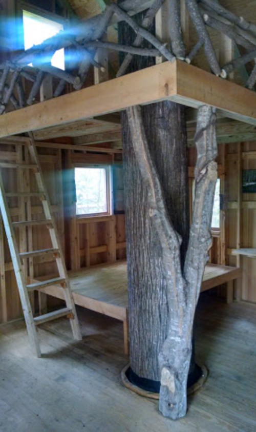Interior of a rustic treehouse featuring wooden beams, a tree trunk as a pillar, and a ladder leading to a loft.