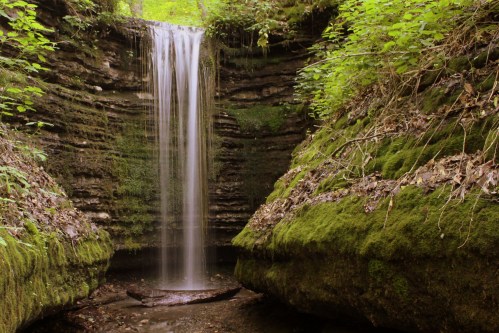 A serene waterfall cascades down moss-covered rocks, surrounded by lush green foliage in a tranquil forest setting.