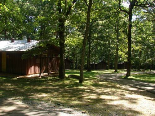 A serene forest scene featuring rustic cabins surrounded by tall trees and dappled sunlight on a grassy path.