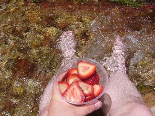 A hand holding a bowl of sliced strawberries above water, with feet submerged in a clear stream.