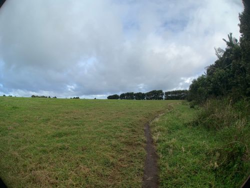 A grassy field under a cloudy sky, with a narrow path leading through the landscape and trees in the distance.