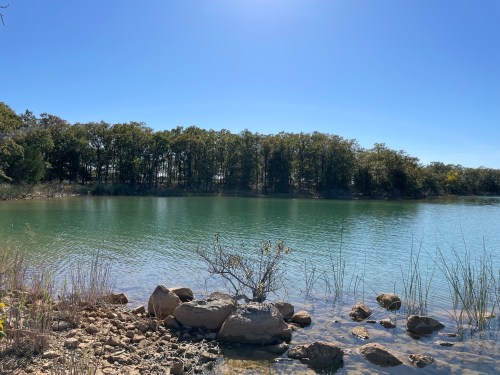 A serene lake surrounded by trees under a clear blue sky, with rocks and grass in the foreground.