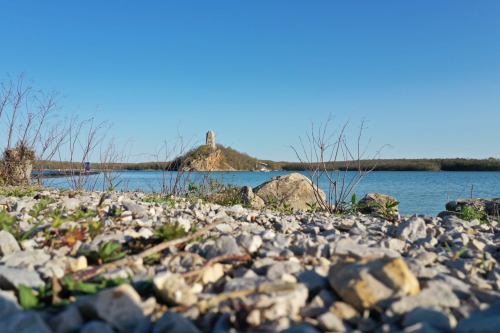 A rocky shoreline with sparse vegetation, overlooking a calm blue lake and a distant tower on a small island under a clear sky.