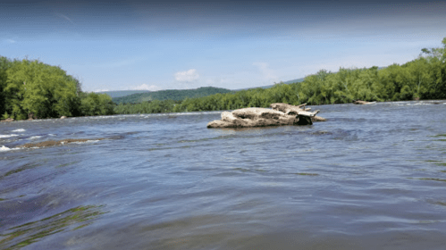 A calm river scene with a rocky outcrop and lush green trees lining the banks under a clear blue sky.