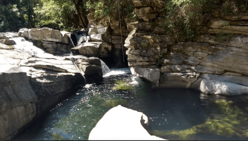 A serene natural scene featuring a clear pool of water surrounded by smooth, rocky formations and lush greenery.