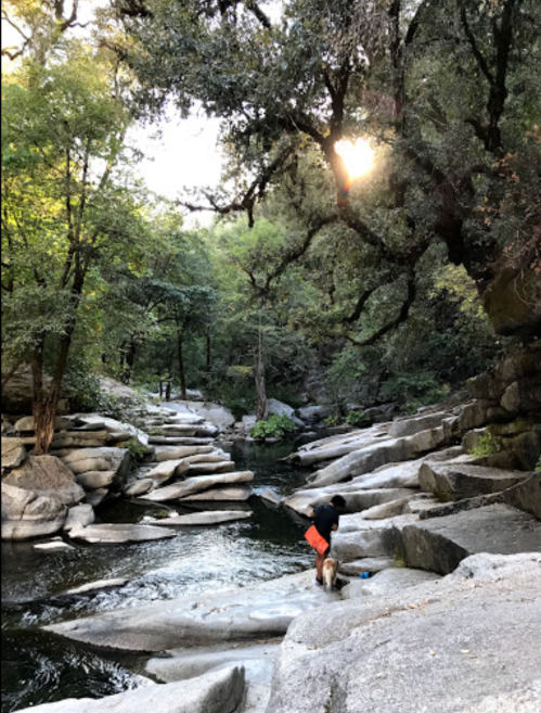 A person in orange shorts stands by a rocky riverbank, with trees and sunlight filtering through the foliage.