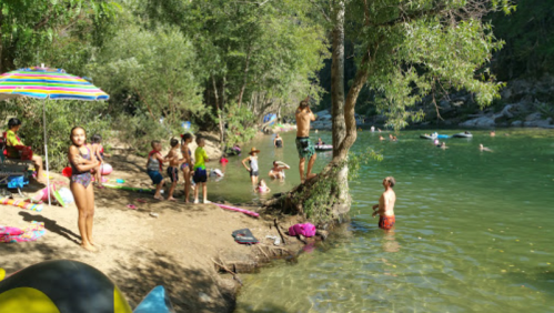 A sunny river scene with people swimming, playing, and relaxing on the shore under colorful umbrellas and trees.