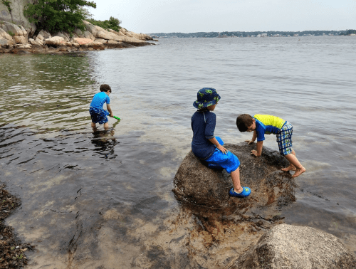 Three children play by the water's edge, exploring rocks and shallow water on a sunny day.