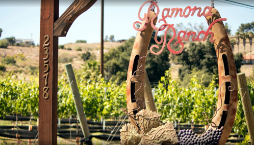 A rustic sign reading "Ramona Ranch" hangs from a wooden post, surrounded by vineyards and rolling hills.