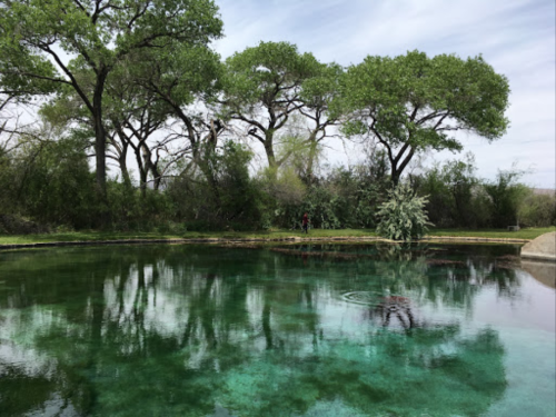 A serene pond surrounded by lush green trees under a cloudy sky, with gentle ripples on the water's surface.