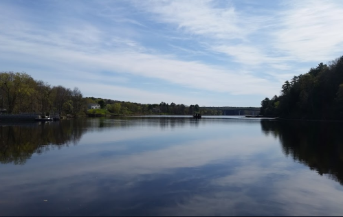A serene lake reflecting blue skies and trees, with a calm surface and distant structures along the shore.
