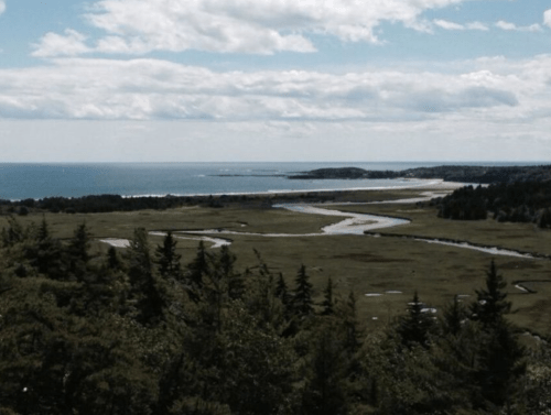 A scenic view of a winding river flowing through green fields, leading to the ocean under a partly cloudy sky.