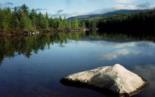A serene lake surrounded by trees, with a large rock in the foreground reflecting in the calm water.