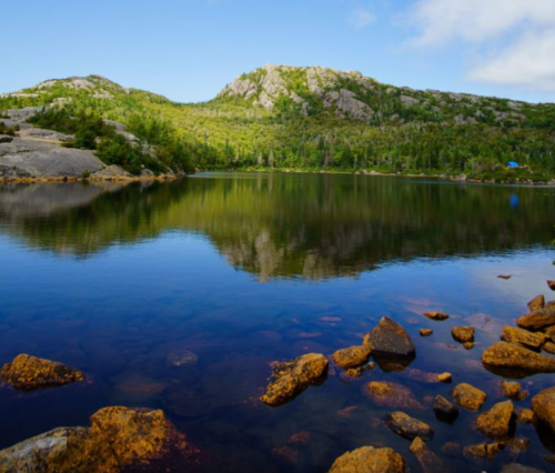 A serene lake surrounded by lush green hills and rocky shores, reflecting the clear blue sky.