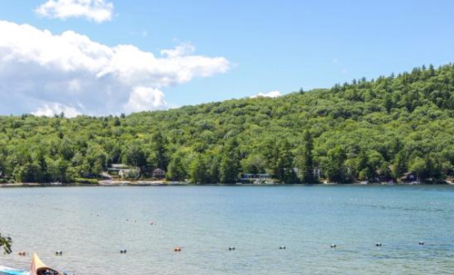 A serene lake surrounded by lush green trees under a clear blue sky with fluffy clouds.