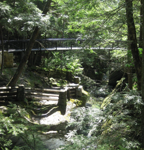 A serene forest scene with a wooden bridge over a rocky stream, surrounded by lush green trees.