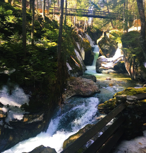 A serene forest scene featuring a rushing river, moss-covered rocks, and a wooden bridge above, surrounded by tall trees.