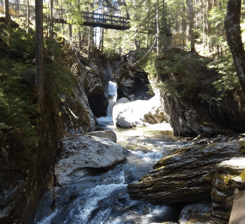 A serene forest scene featuring a flowing river, rocky banks, and a wooden bridge above. Sunlight filters through the trees.