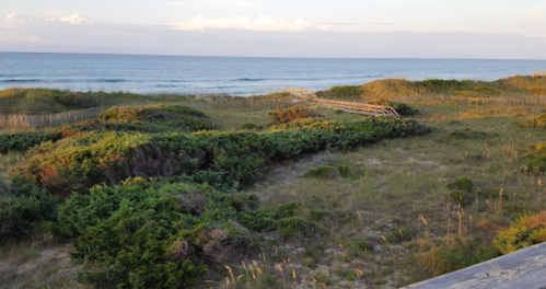 A serene beach scene with dunes, greenery, and a wooden walkway leading to the ocean under a clear sky.