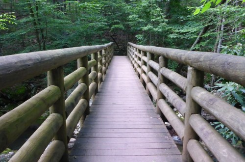 A wooden bridge stretches through a lush green forest, leading into a serene natural setting.