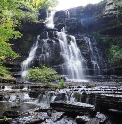 A serene waterfall cascading over rocky ledges, surrounded by lush greenery and soft sunlight filtering through the trees.