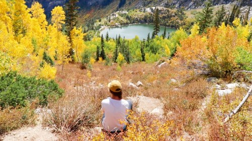 A person sits on a hillside overlooking a vibrant autumn landscape with a lake surrounded by colorful trees.
