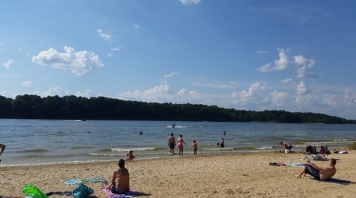 A sunny beach scene with people swimming and relaxing on the sand by a river, surrounded by trees and blue skies.