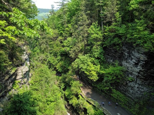 A lush green landscape with rocky cliffs and a winding path, surrounded by dense trees and natural beauty.