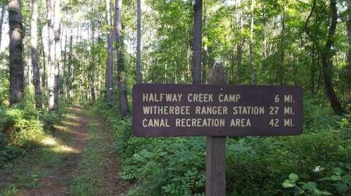 A wooden sign in a forest indicating distances to Halfway Creek Camp (6 mi), Witherbee Ranger Station (27 mi), and Canal Recreation Area (42 mi).