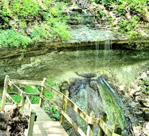 A wooden bridge leads to a rocky area with a small waterfall surrounded by lush greenery.