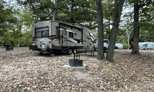 A parked RV in a wooded campsite with picnic table and fire pit, surrounded by fallen leaves and trees.